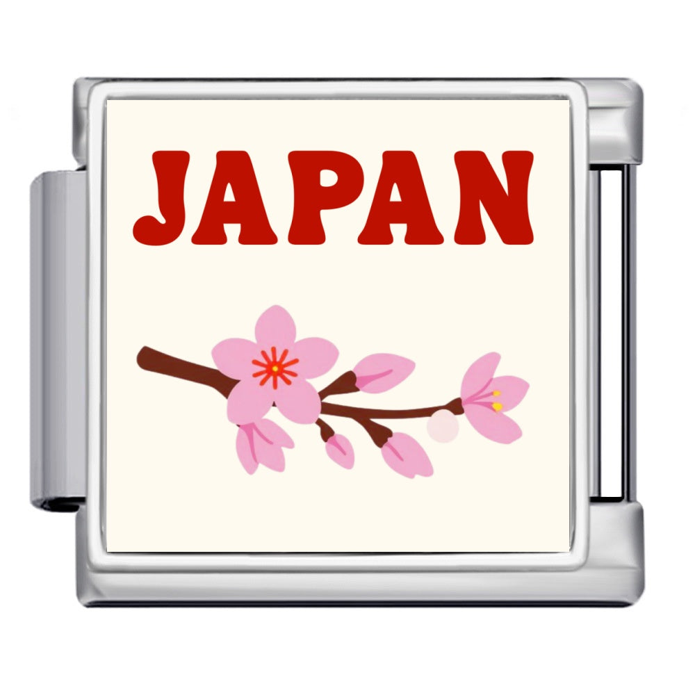 Japan Silver