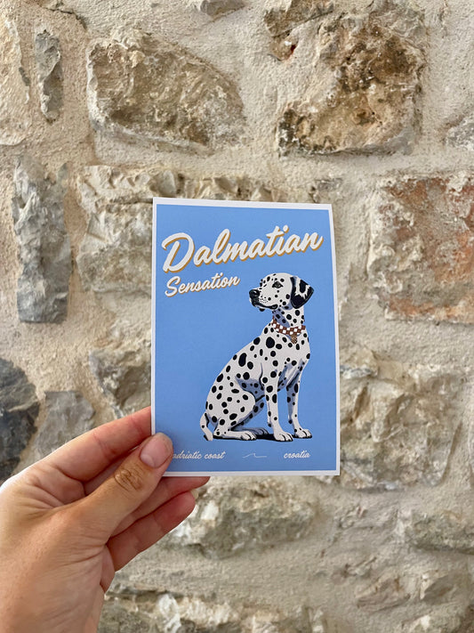 Dalmatian Sensation Art Print