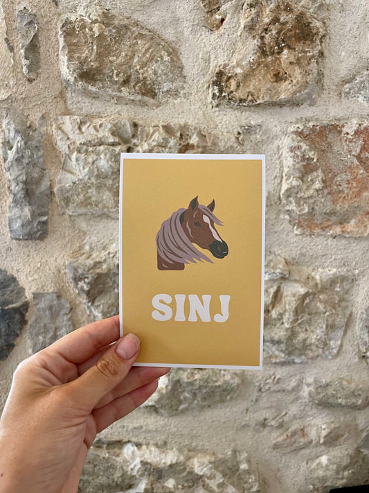 Sinj Art Print